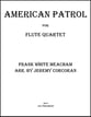 American Patrol P.O.D. cover